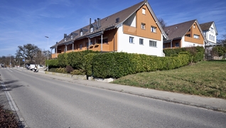 Immobile a Wangen bei Dübendorf: vista esterna dell’incantevole immobile sulla Zelglistrasse.